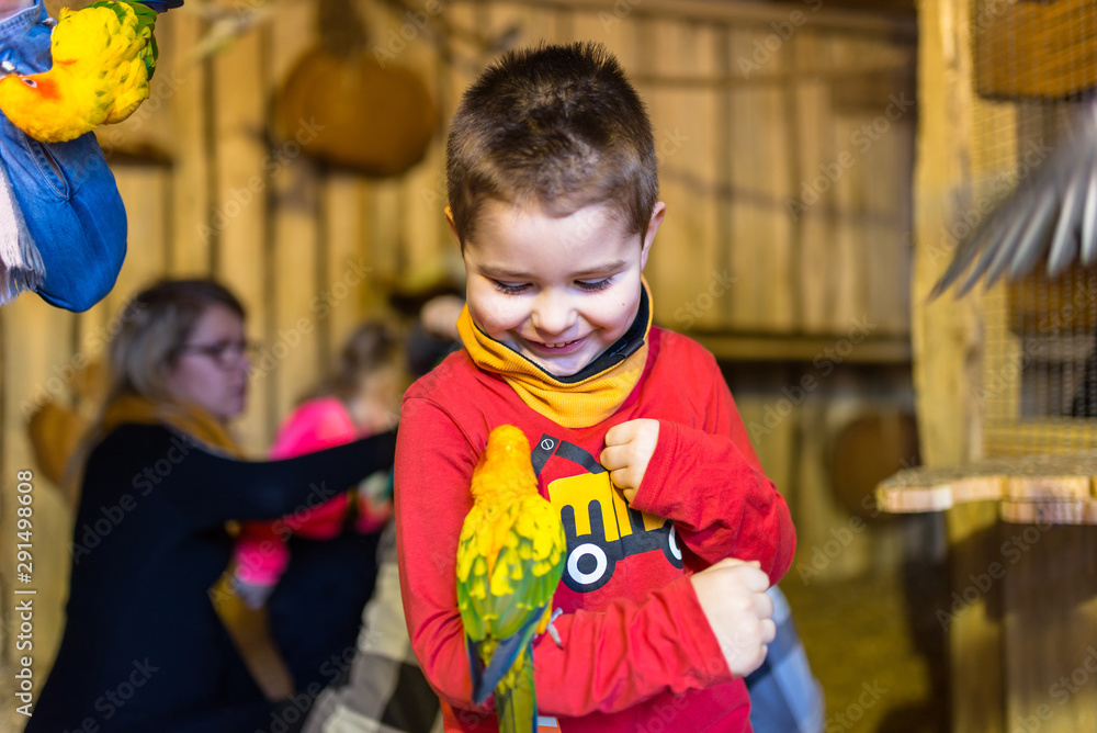 Five-year sweet, smiling boy holds a parrot on his forearm.