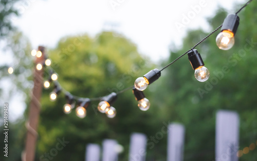 Lanterns-light bulbs on a background of green trees. Hanging lights at the festival. Street decor.
