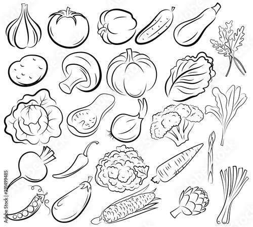 Set of vegetables. Collection of black and white stylized vegetables. Linear art fresh food. Vector illustration of products for the store. Tattoo. photo