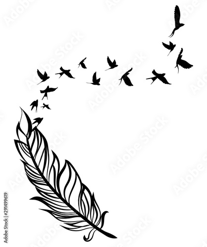 Feather and birds. Black and white vector illustration of stylized feather with silhouettes of flocks of birds. Tattoo.