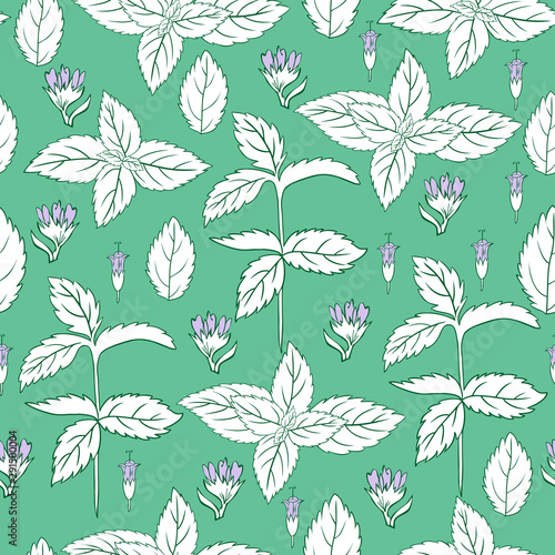 Mint leaf, peppermint bud isolated on green background, Hand drawn vector seamless floral pattern, spicy herb kitchen texture line art, Doodle cooking ingredient for design package tea, cosmetic