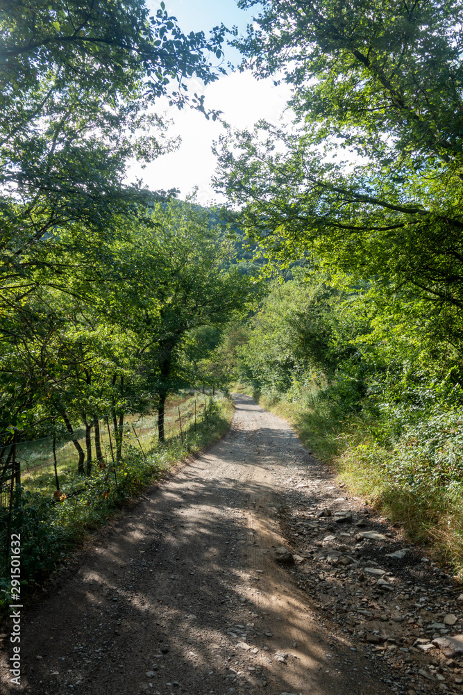 Natural environment of the town of Ripoll in Girona Natural environment of the town of Ripoll in Girona
