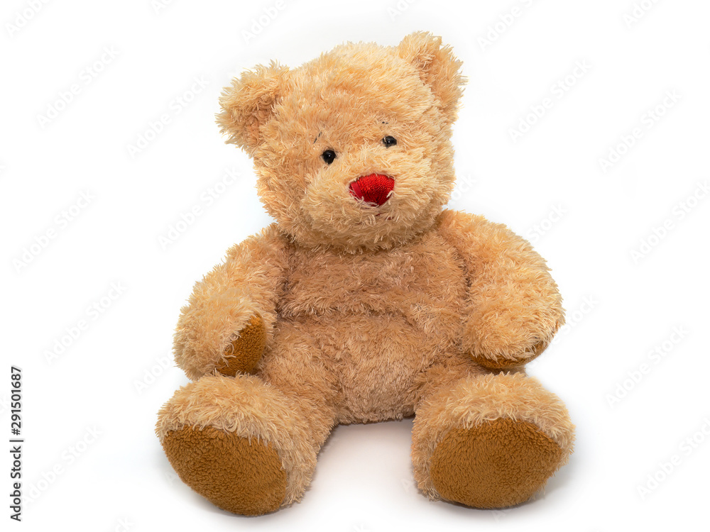 teddy bear doll on white background. - obrazy, fototapety, plakaty 