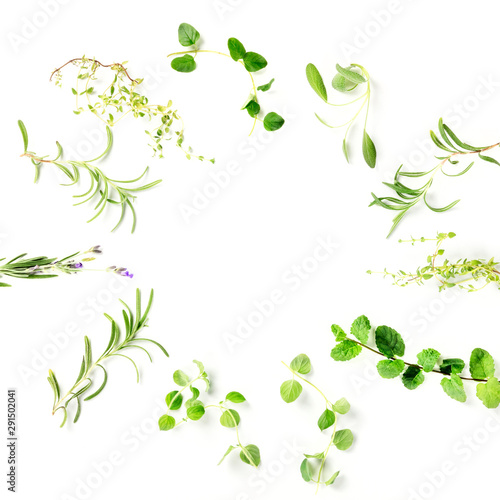 Culinary aromatic herbs, overhead square shot on a white background, forming a frame with copy space, a food design template
