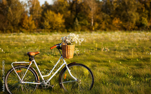 bike with basket with flowers against nature background