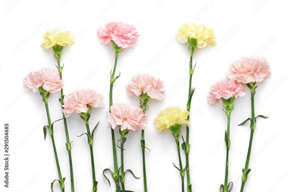 Beautiful carnation flowers on white background Beautiful carnation flowers on white background