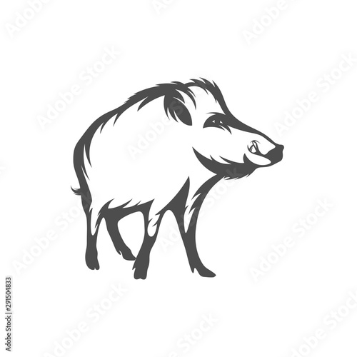 Wild boar Logo Design Vector. Template Illustration. Icon Symbol