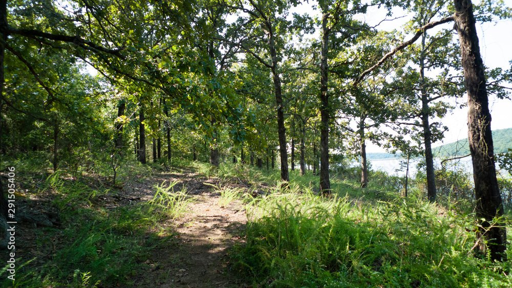 Nature trail with lake in Eastern Oklahoma