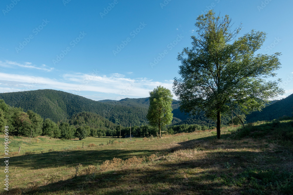 Natural environment of the town of Ripoll in Girona Natural environment of the town of Ripoll in Girona