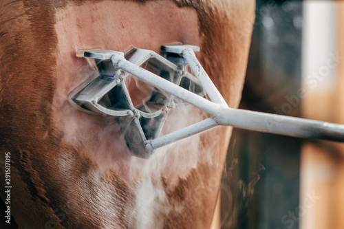 Livestock brand on horseback with cold liquid nitrogen technique