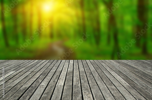 wooden table forest