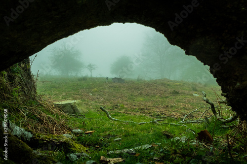 a foggy day in the forest of Belaustegui, on Mount Gorbea photo
