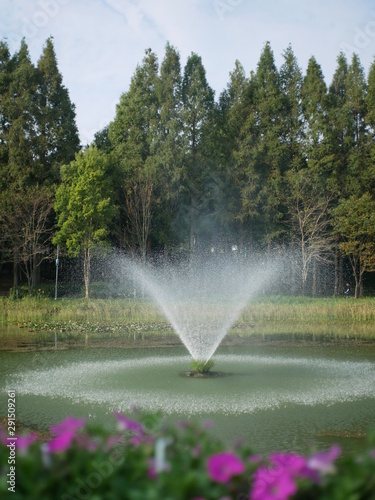 FUENTE Y ARBOLES