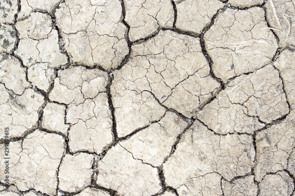 Crack soil on dry season, Global warming / cracked dried mud / Dry cracked earth background / The cracked ground, Ground in drought, Soil texture and dry mud, Dry land. Crack soil on dry season, Global warming / cracked dried mud / Dry cracked earth background / The cracked ground, Ground in drought, Soil texture and dry mud, Dry land.