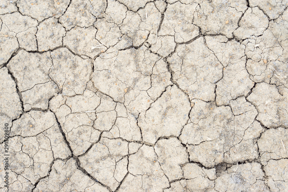 Crack soil on dry season, Global warming / cracked dried mud / Dry cracked earth background / The cracked ground, Ground in drought, Soil texture and dry mud, Dry land. Crack soil on dry season, Global warming / cracked dried mud / Dry cracked earth background / The cracked ground, Ground in drought, Soil texture and dry mud, Dry land.