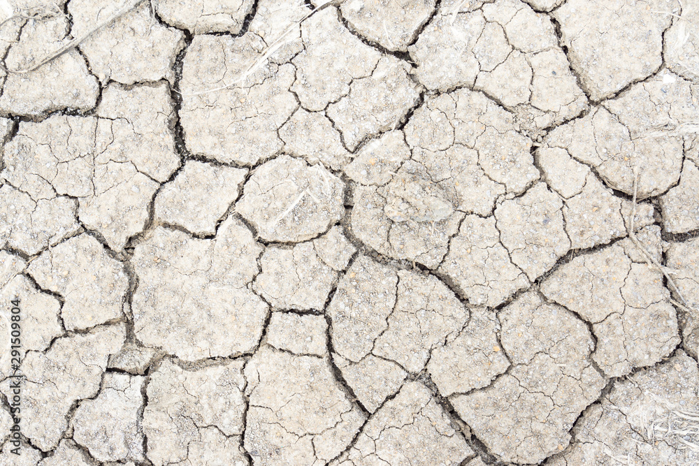 Crack soil on dry season, Global warming / cracked dried mud / Dry cracked earth background / The cracked ground, Ground in drought, Soil texture and dry mud, Dry land. Crack soil on dry season, Global warming / cracked dried mud / Dry cracked earth background / The cracked ground, Ground in drought, Soil texture and dry mud, Dry land.
