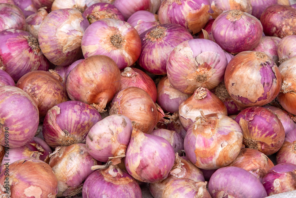 Close-up onions, herb for cooking and good health Close-up onions, herb for cooking and good health