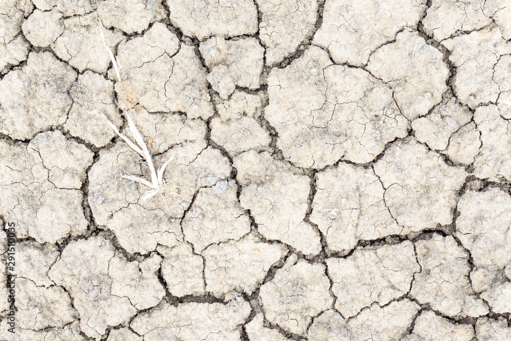 Obraz premium Crack soil on dry season, Global warming / cracked dried mud / Dry cracked earth background / The cracked ground, Ground in drought, Soil texture and dry mud, Dry land.