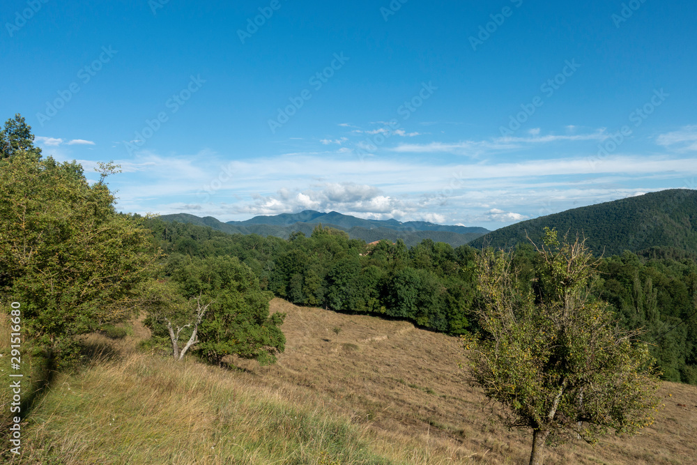 Natural environment of the town of Ripoll in Girona Natural environment of the town of Ripoll in Girona