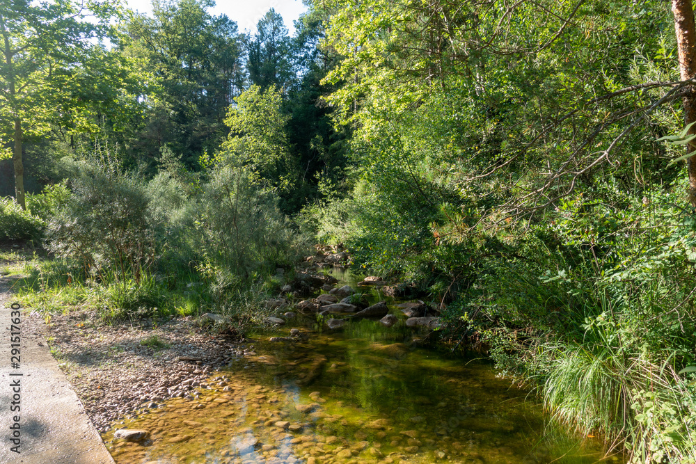 Fototapeta premium Natural environment of the town of Ripoll in Girona