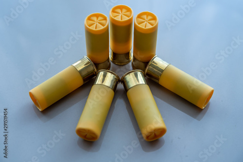 shotshell