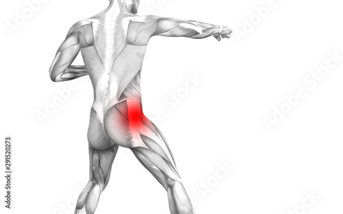 Fototapeta Naklejka Na Ścianę i Meble -  Conceptual hip human anatomy with red hot spot inflammation articular joint pain for leg health care therapy or sport muscle concepts. 3D illustration man arthritis or bone sore osteoporosis disease
