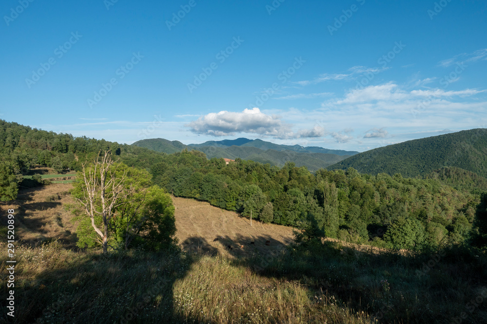 Natural environment of the town of Ripoll in Girona