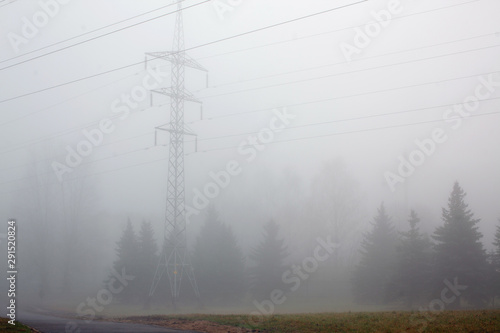 Autumn landscape with power line and trees in the fog photo