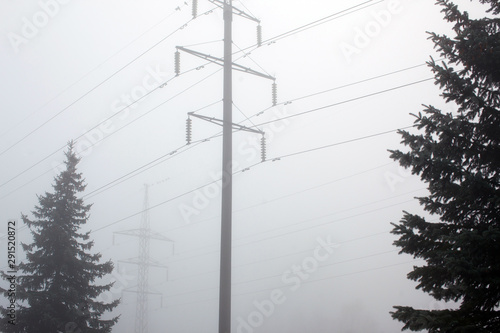 Autumn landscape with power line and trees in the fog photo