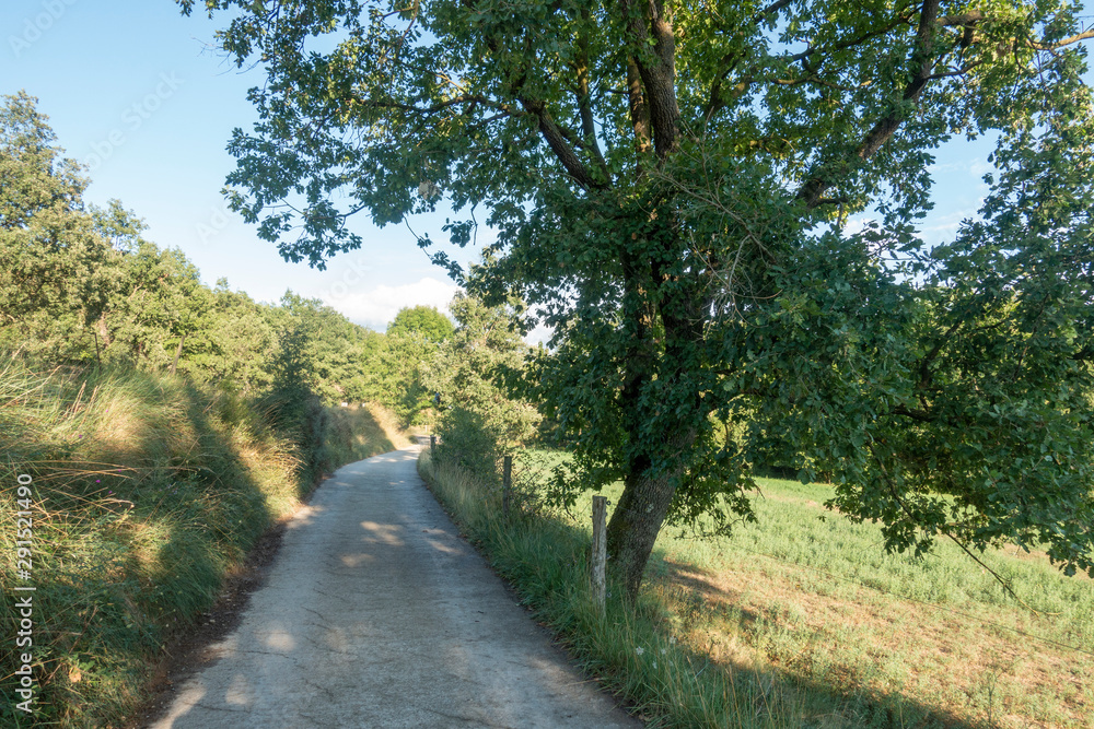 Natural environment of the town of Ripoll in Girona Natural environment of the town of Ripoll in Girona