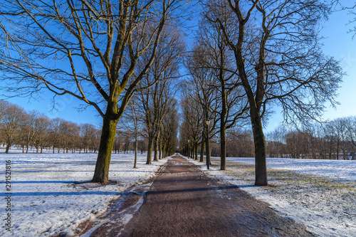 Canvas Print Oslo winter landscape at Vigeland Sculpture Park with snow and dry tree