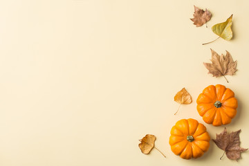 Autumn fall thanksgiving day composition with decorative orange pumpkins