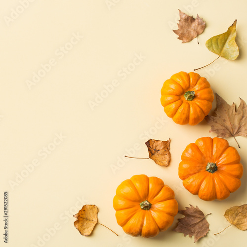 Autumn fall thanksgiving day composition with decorative orange pumpkins photo