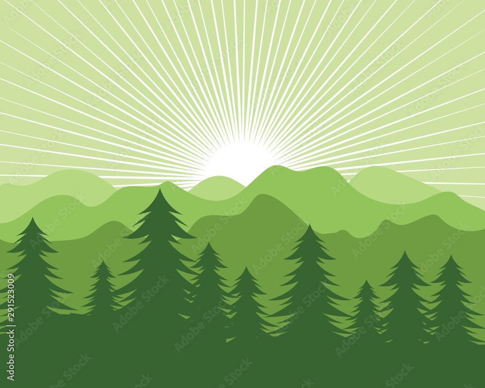 landscape pines tree and mountain  vector illustration design