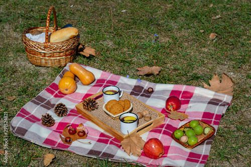 Autumn picnic in the Park with fruit, cookies and tea with apples. There's a baguette and a thermos of hot drink in the picnic basket. Autumn maple leaves, pumpkin and walnuts. Autumn vacation.