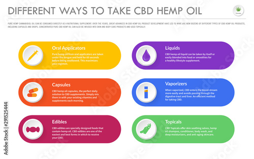 Different Ways to Take CBD Hemp Oil horizontal business infographic illustration about cannabis as herbal alternative medicine and chemical therapy, healthcare and medical science vector.