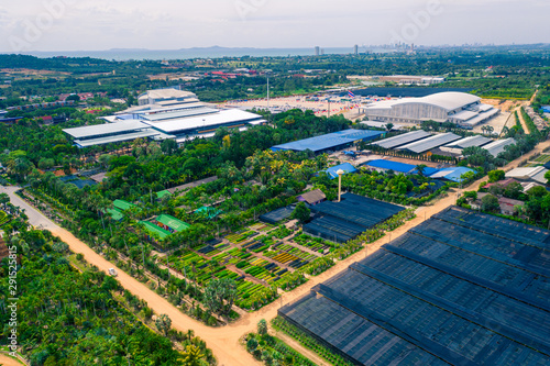 Aerial view of tropical garden in Chonburi province, Thailand. Aerial view from drone photo