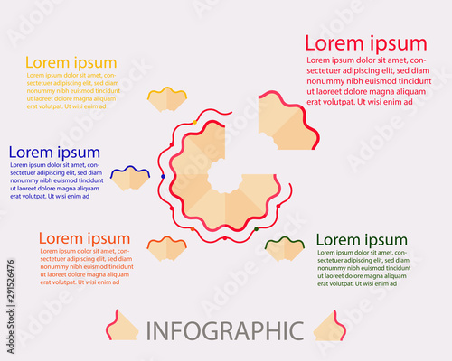 Education concept: 5 step process chart infographics with step circles, show in pencils peel vector design. Presentation slide template. 