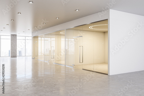 Business spacious office interior