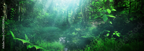 Beautiful green forest panorama background