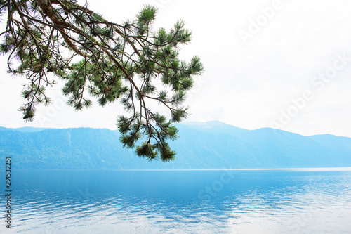 Teletskoye lake in Altai mo...