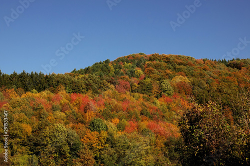 Paysage automnale en Isère près de Grenoble - France