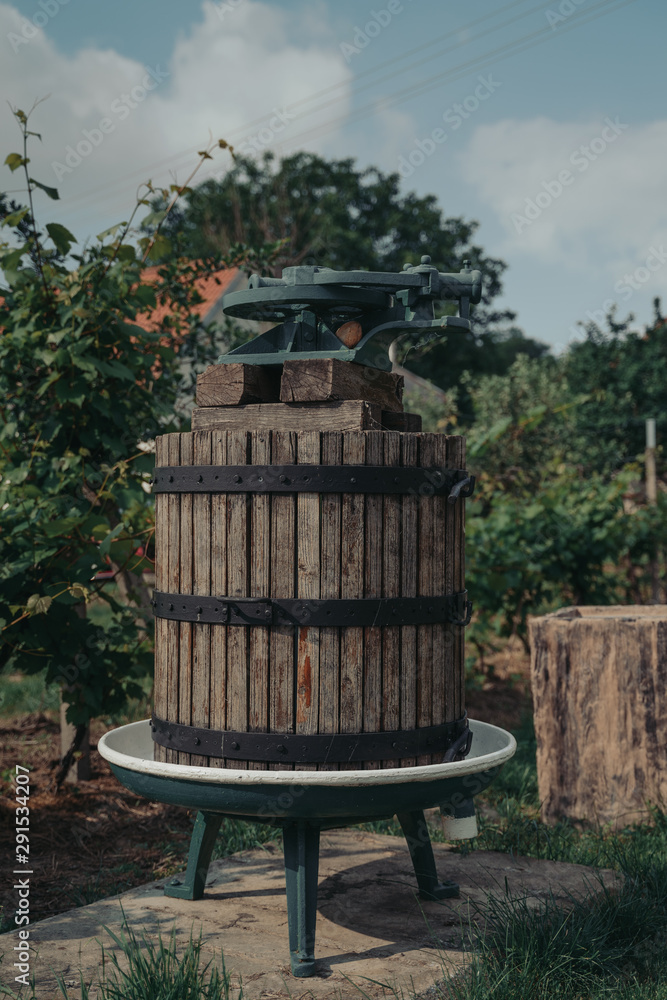 Obraz premium Traditional wine making
