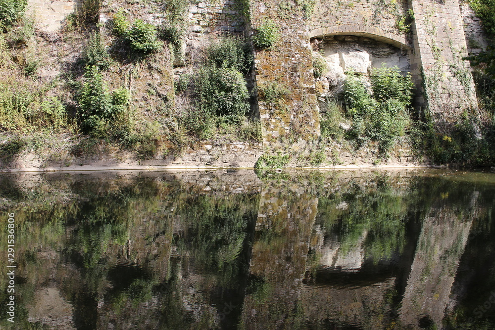 Old wall with plants reflecting in the water