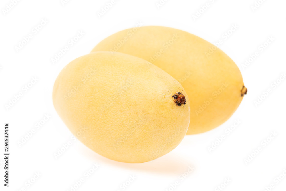 Closeup image of two fresh yellow mango isolated at white background.