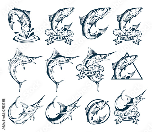 Salmon and Marlin Set. Symbols of Fishery Sport. Set of Fishing Emblems with Salmon Fish and Marlin. Fishing Sticker. Marlin Fish Logo. Seafood Badge. Sea Fish. Vector graphics to design.