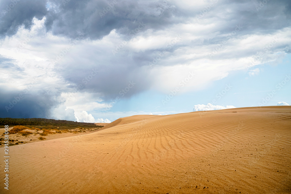 Sand dune in a desert with dark clouds