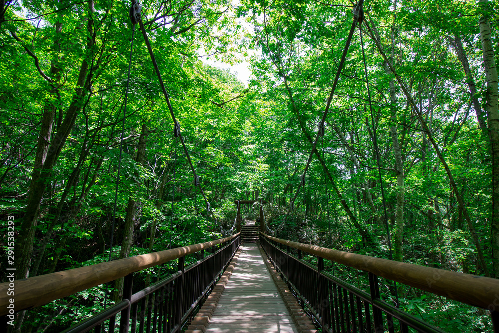 Wooden suspension bridge settled among green shady trees in jungle Wooden suspension bridge settled among green shady trees in jungle