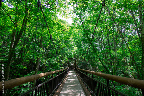 Wooden suspension bridge settled among green shady trees in jungle