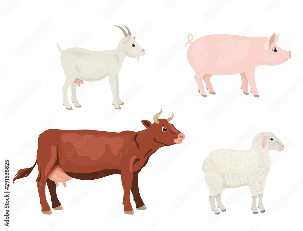 Farm animals set. Vector illustration of a cow, goat, sheep and pig isolated on a white background. Cartoon simple flat style.